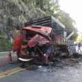 Fotos: Corpo de Bombeiros