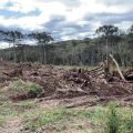 Polícia encontrou área de quase 10 hectares desmatada no interior do Paraná — Foto: PM-PR