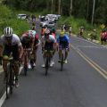 Foto: Divulgação/Ciclislo