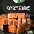 Foto: Polícia Militar