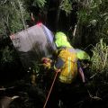 Foto: Corpo de Bombeiros