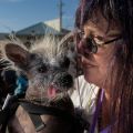 Linda Elmquist e seu cachorro, Scooter - Foto: Carlos Barria/Reuters