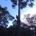 Foto: Corpo de Bombeiros/Divulgação