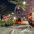 Foto: Corpo de Bombeiros